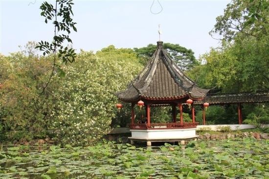 Zuibaichi Park